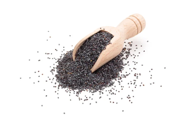 Poppy seed. — Stock Photo, Image