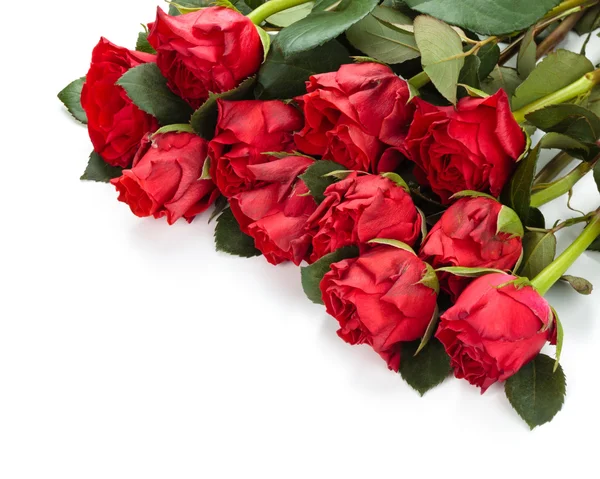 Červené růže rám. — Stock fotografie