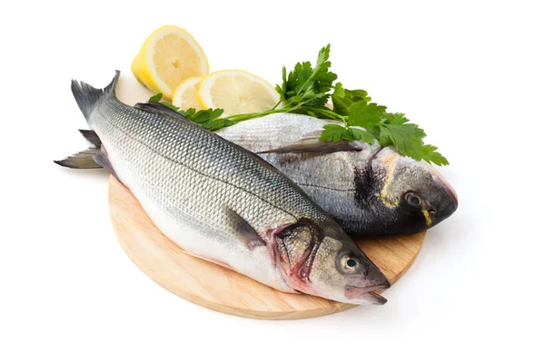 Pescado fresco. — Foto de Stock