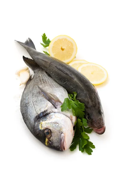 Čerstvé ryby. — Stock fotografie