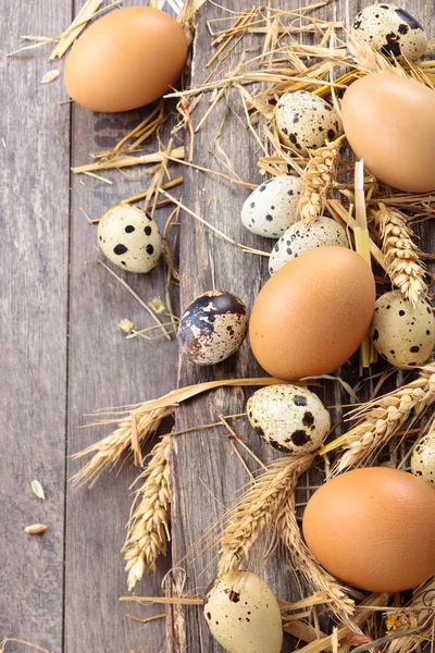 Fresh  eggs. — Stock Photo, Image