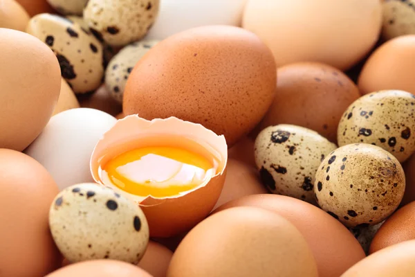 Świeże jaja tło. — Zdjęcie stockowe