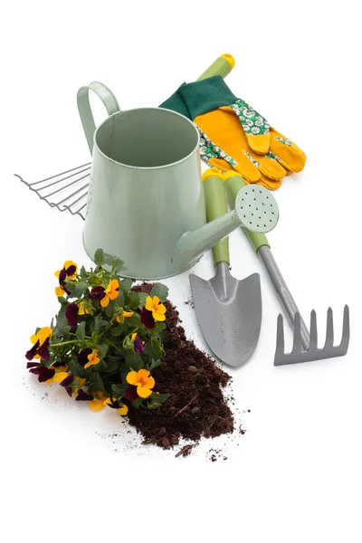Herramientas para jardinería . —  Fotos de Stock