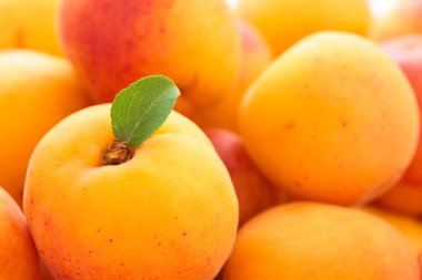 Taze kayısı arka plan.