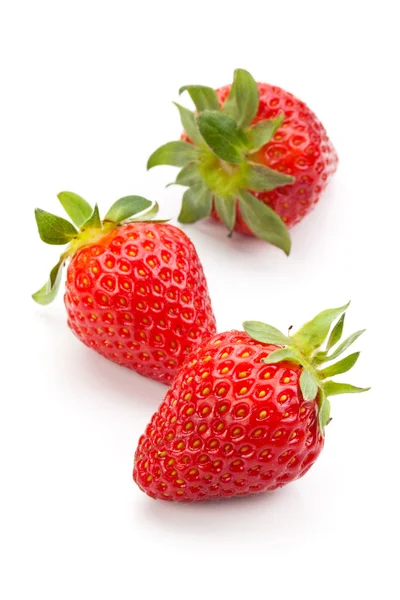 Fragole fresche. — Foto Stock