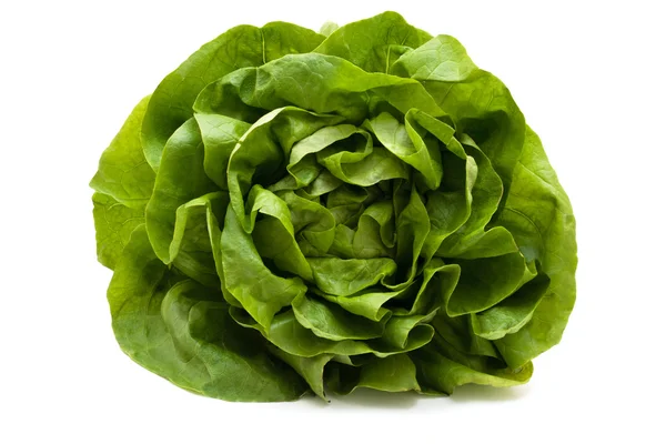 Salată verde . — Fotografie, imagine de stoc