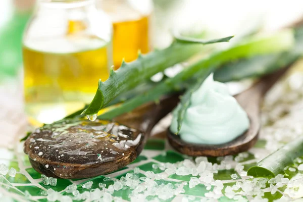 Aloe cilt bakım ürünleri.