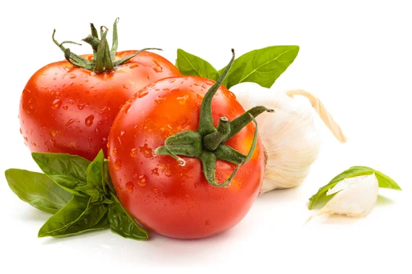 Tomates sobre fondo blanco. — Foto de Stock