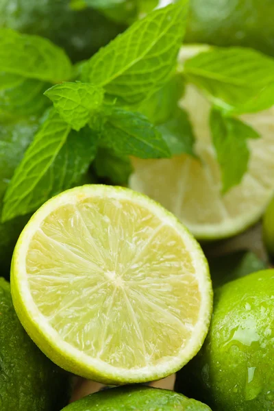 Wet limes and mint. Stock Picture