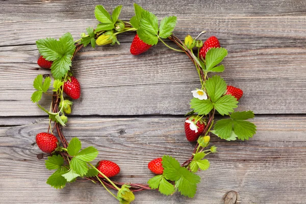 Krans van verse aardbeien. — Stockfoto