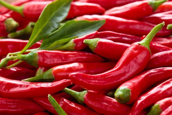 Vörös chili paprika. — Stock Fotó