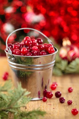 Taze kızılcık kovalar.