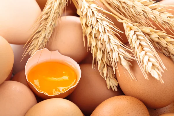 Fresh eggs background. — Stock Photo, Image