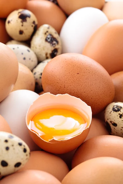 Fresh eggs background. — Stock Photo, Image