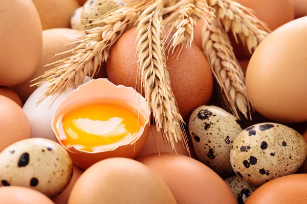 Fresh eggs background. — Stock Photo, Image