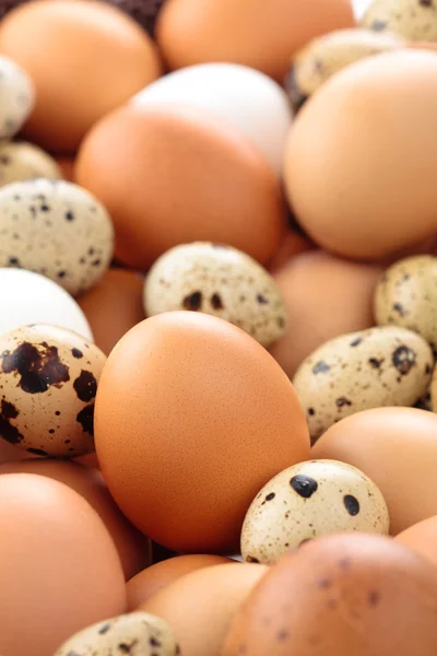Sfondo uova fresche . — Foto Stock