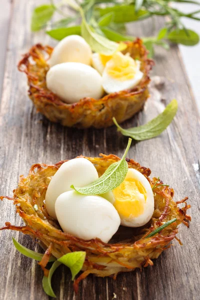 Kokte egg i reir . – stockfoto