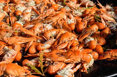 Avrupa kerevitleri Astacus astacus (asil ya da geniş parmaklı kerevit, Avrupa 'nın en yaygın kerevit türü), sağlıklı deniz ürünleri yemeye hazır, bir sokak yemeği festivalinde pişirilmiş bir tavada.