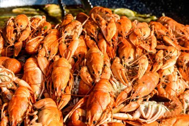 Avrupa kerevitleri Astacus astacus (asil ya da geniş parmaklı kerevit, Avrupa 'nın en yaygın kerevit türü), sağlıklı deniz ürünleri yemeye hazır, bir sokak yemeği festivalinde pişirilmiş bir tavada.