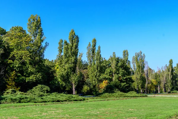 Paisaje Con Grandes Árboles Verdes Hierba Parque Herastrau Bucarest Rumania — Foto de Stock