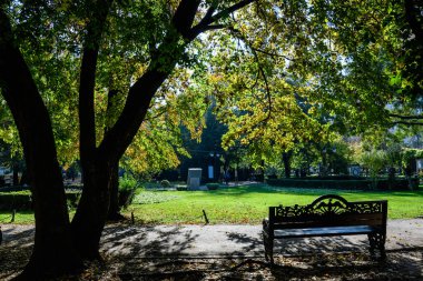 Romanya 'nın Bükreş kenti Gradina Cismigiu' da (Cismigiu Garden) güneşli bir sonbahar gününde, canlı yeşil ve sarı bitkilerle yeşil kireç ağaçları ve çimlerle dolu gri bir sokak manzarası