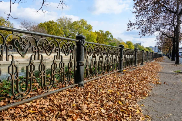 Yellow, orange and brown leaves near an old black metallic fence on Dambovita river in Bucharest, Romania, in a sunny autumn day