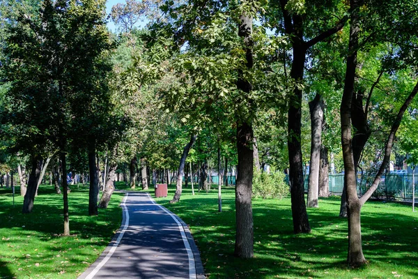 루마니아 부쿠레슈티에 오로스 공원으로 도알려져 드럼울 공원에서 자전거를 달리는 아침에 — 스톡 사진