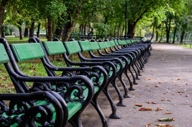Romanya 'nın Bükreş kenti Gradina Cismigiu' da (Cismigiu Garden) güneşli bir sonbahar gününde, gri sokak ve yeşil bitkilerle çevrili çok sayıda yeşil sandalye, yeşil kireç ağaçları ve çimenler
