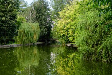 Romanya 'nın Bükreş kentindeki Cismigiu Garden' da güneşli bir yaz gününde, göl üzerindeki ana köprü canlı yeşil bitkiler, yeşil kireç ağaçları ve çimlerle çevrili.