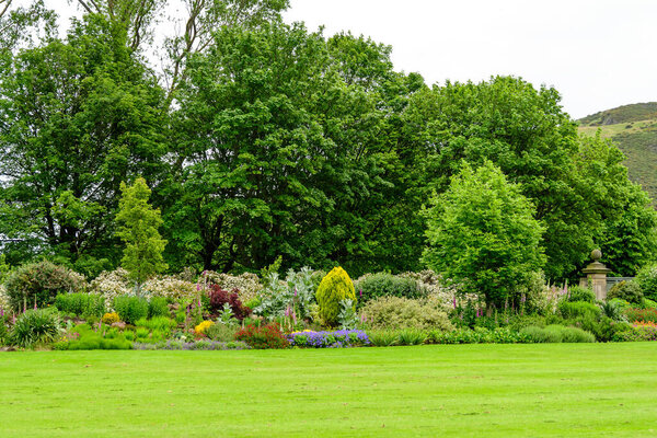 Minimalist monochrome green background with wild azalea or Rhododendron plant an old green trees and leaves in a park in a summer day in Scotland, United Kingdom
