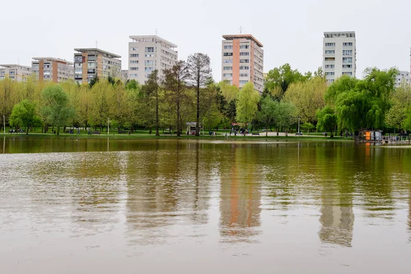 Bucarest Romania Maggio 2021 Paesaggio Con Acqua Verdi Salici Piangenti — Foto Stock