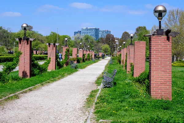 Boekarest Roemenië April 2021 Landschap Met Hoofdsteeg Veel Grote Groene — Stockfoto