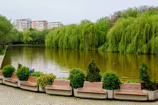 Bucharest Romania May 2021 Landscape Water Green Weeping Willow Trees — Stock Photo, Image