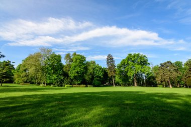 Romanya 'nın Bükreş kenti yakınlarındaki güneşli bir bahar gününde Mogosoaia Park' taki (Parcul Mogosoaia) eski yeşil ağaçların manzarası