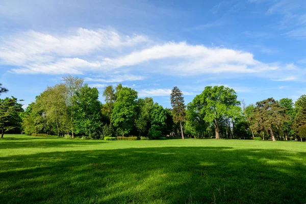 Romanya 'nın Bükreş kenti yakınlarındaki güneşli bir bahar gününde Mogosoaia Park' taki (Parcul Mogosoaia) eski yeşil ağaçların manzarası