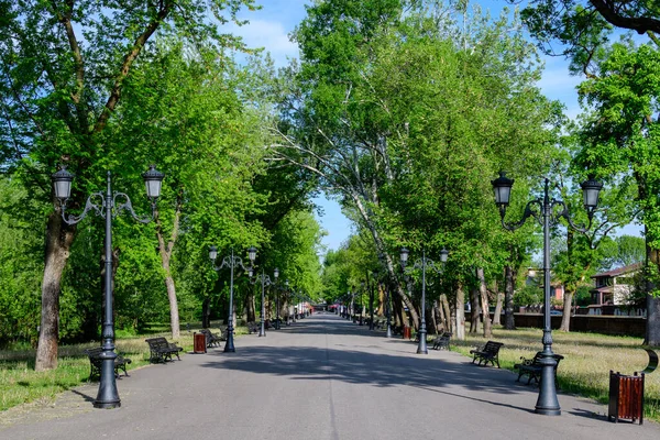 Romanya 'nın Bükreş kentine yakın güneşli bir bahar gününde, eski yeşil ağaçlar ve Mogosoaia Parkı' ndaki (Parcul Mogosoaia) gri geçitli manzara