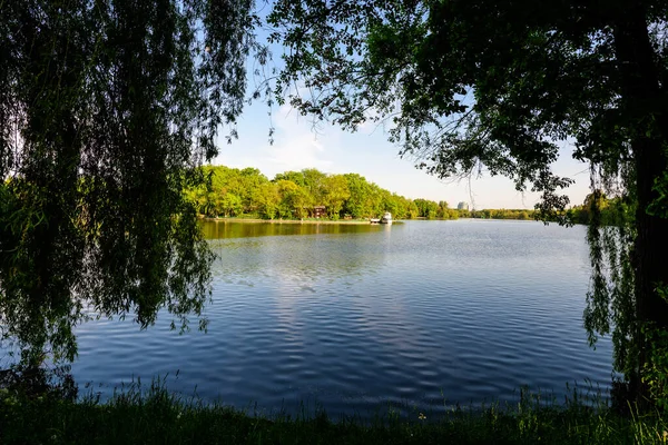 Krajobraz Białymi Łodziami Nad Jeziorem Herastrau Dużymi Zielonymi Drzewami Parku — Zdjęcie stockowe