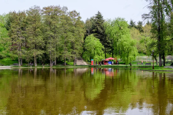 Bucharest Romania May 2021 Landscape Water Green Weeping Willow Trees — Stock Photo, Image