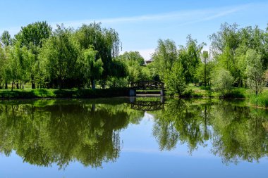 Romanya 'nın Bükreş kentine yakın bir hafta sonu eğlencesi olan Mogosoaia gölü ve parkı yakınlarındaki eski yeşil ağaçlarla dolu manzara güneşli bir bahar gününde