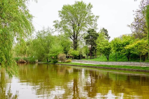 Krajobraz Wodą Zielonymi Płaczącymi Wierzbami Brzegu Jeziora Tytan Parku Alexandru — Zdjęcie stockowe
