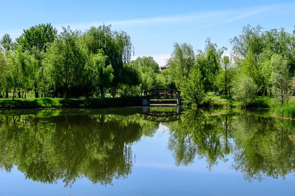 Krajobraz Starymi Zielonymi Drzewami Pobliżu Jeziora Parku Mogosoaia Atrakcja Weekendowa — Zdjęcie stockowe