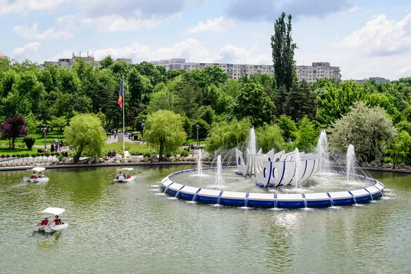 Bükreş, Romanya, 29 Mayıs 2021 - Güneşli bir bahar bahçesinde narin bir beyaz klematis çiçeği, güzel bir açık hava çiçekli arka plan seçici bir odak ile fotoğraflandı