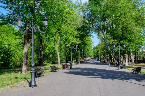 Romanya 'nın Bükreş kentine yakın güneşli bir bahar gününde, eski yeşil ağaçlar ve Mogosoaia Parkı' ndaki (Parcul Mogosoaia) gri geçitli manzara