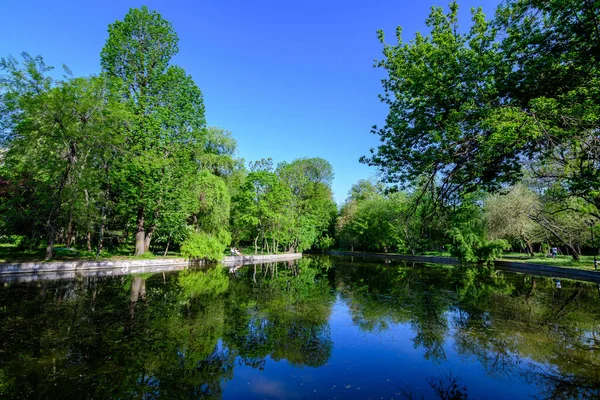 Romanya 'nın Bükreş kentindeki bir halk parkı olan Cismigiu Bahçesi' ndeki (Gradina Cismigiu) göl kenarındaki eski büyük ıhlamur ağaçları ve yeşil yapraklarla dolu canlı yeşil bir manzara.