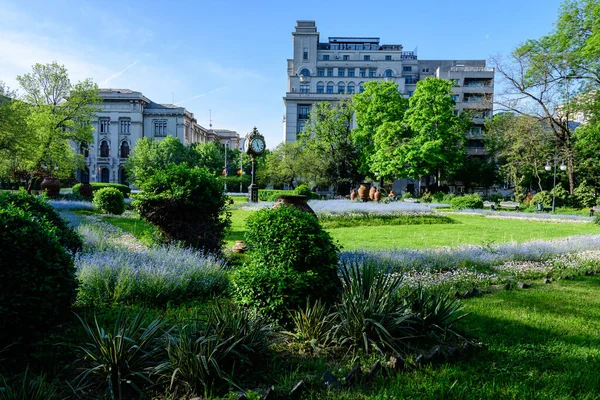 Romanya 'nın Bükreş kentindeki Cismigiu Bahçesi' ne (Gradina Cismigiu) girerken güneşli bir günde yeşil ağaçlar, yapraklar, antika saatler ve pek çok küçük mavi alan beni unutma veya Scorpion çiçekleri çimenliyor