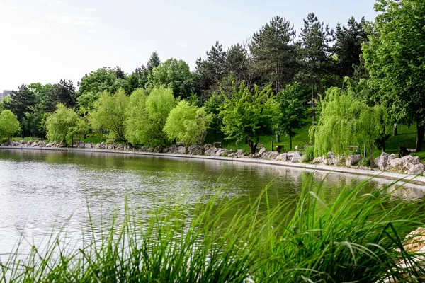 Krajobraz Jeziorem Żywymi Zielonymi Drzewami Drumul Taberei Park Parcul Drumul — Zdjęcie stockowe