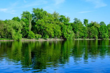 Romanya 'nın başkenti Bükreş' te güneşli bir bahar gününde, Herastrau Gölü yakınlarındaki eski yeşil ağaçlar ve Kral I. Michael Park 'taki (eski Herastrau) büyük yeşil ağaçlarla manzara