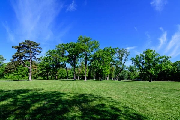 Romanya 'nın Bükreş kenti yakınlarındaki güneşli bir bahar gününde Mogosoaia Park' taki (Parcul Mogosoaia) eski yeşil ağaçların manzarası