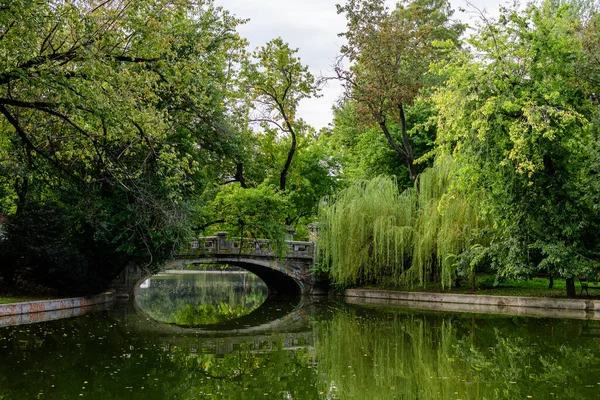 Romanya 'nın Bükreş kentindeki Cismigiu Garden' da güneşli bir yaz gününde, göl üzerindeki ana köprü canlı yeşil bitkiler, yeşil kireç ağaçları ve çimlerle çevrili.