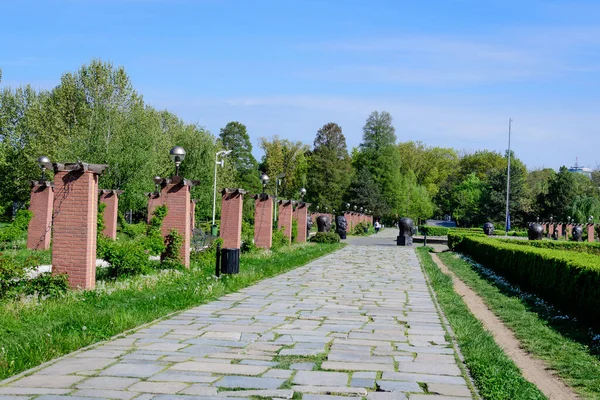 Landschap Met Grote Steeg Veel Grote Groene Bomen Koning Michael — Stockfoto